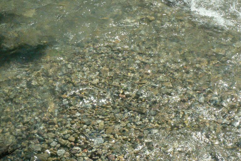 badania, Jak poprawić skuteczność naturalnego tarła pstrąga?