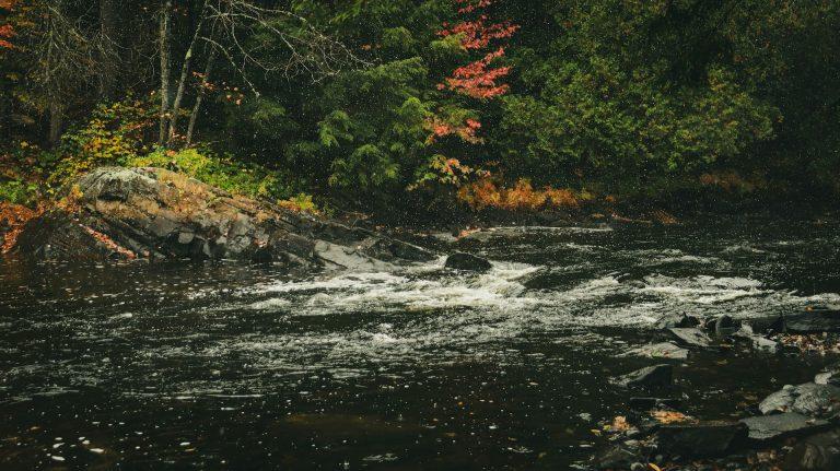 lipień, Zaskakujące wnioski z obserwacji migracji lipieni
