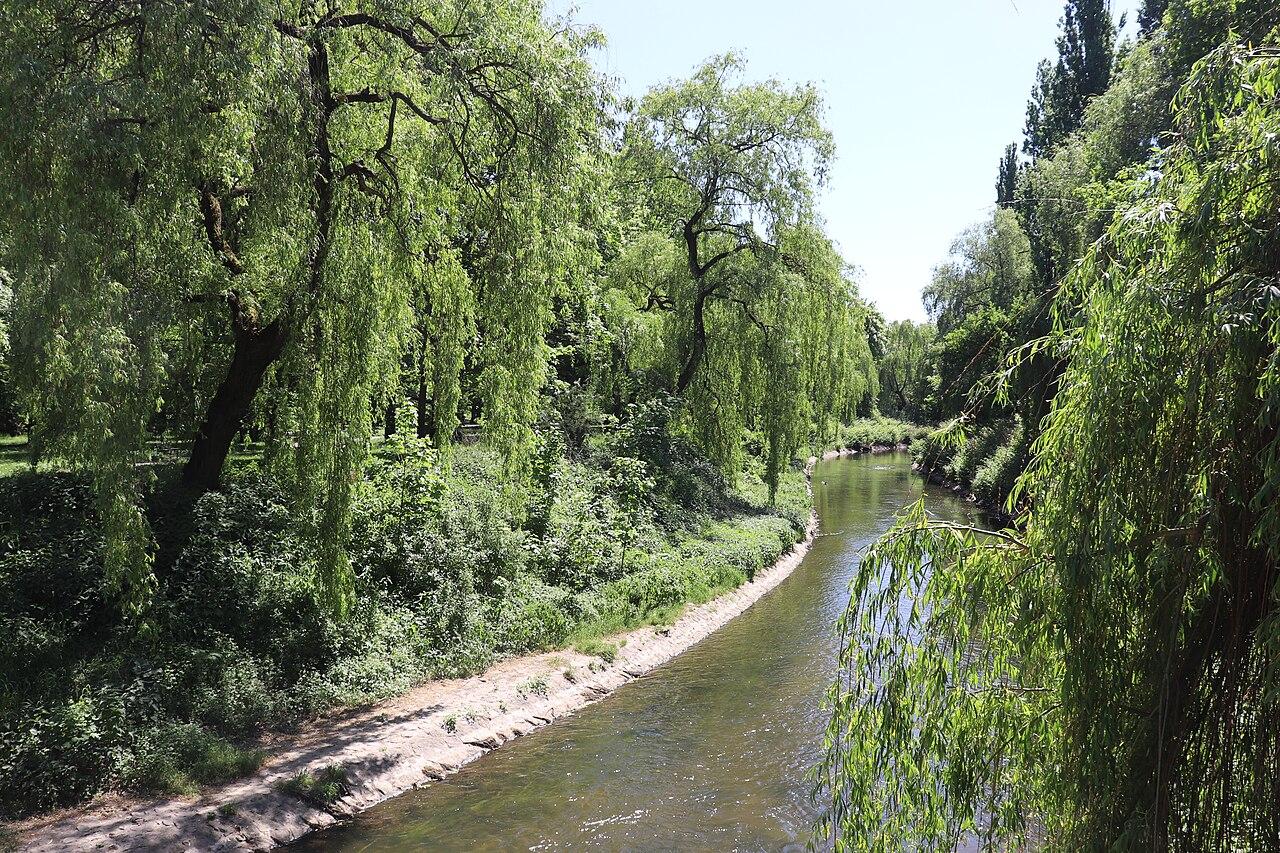 Czy polskie rzeki się ocieplają? Tak – ale nie wszystkie.