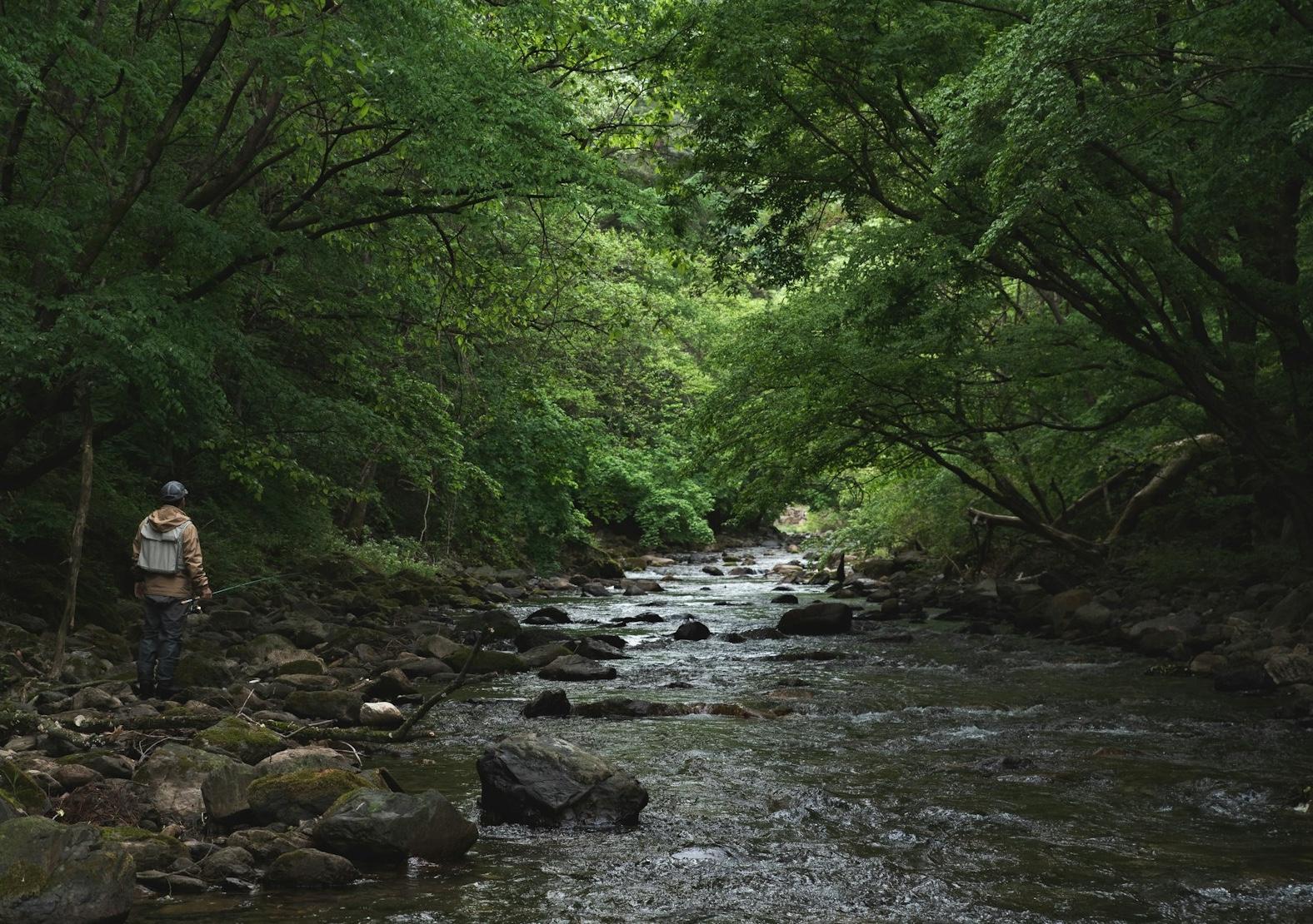 Startuje pstrągowy sezon – Czesi ruszają nad wodę
