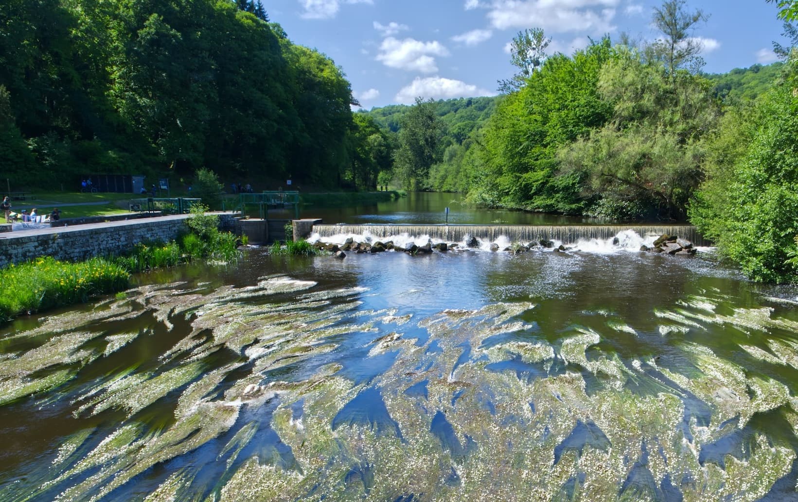Raport Free Rivers: Polska usuwa bariery z rzek znacznie wolniej niż Francja i Finlandia