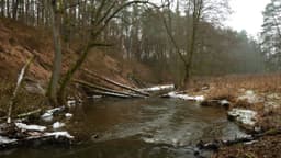 Rzeka pstrągową zimą.