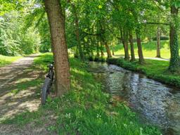 Ścieżka rowerowa wzdłuż rzeki