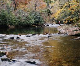 Rzeka krainy pstrąga i lipienia