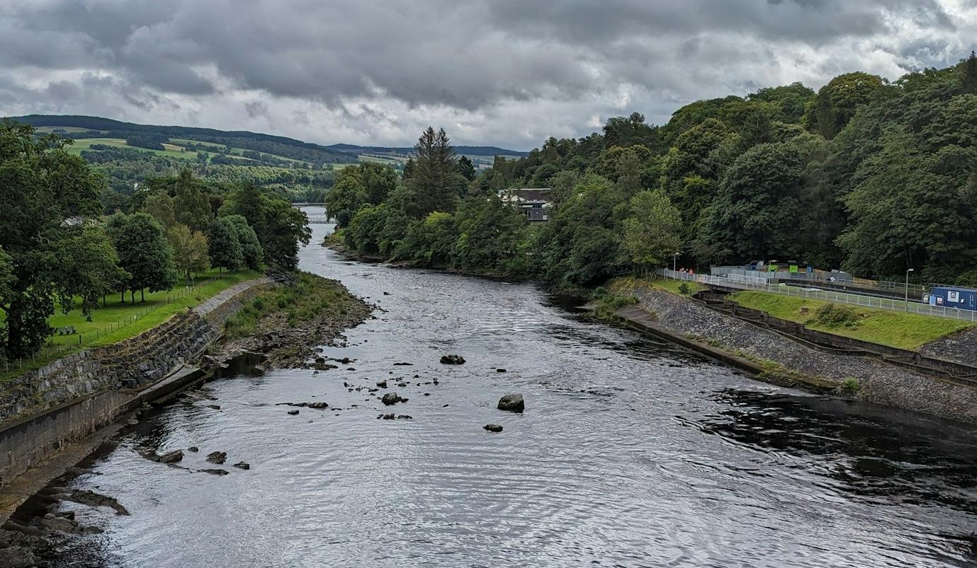 Przepławki: skuteczne rozwiązanie czy iluzja drożnych rzek?